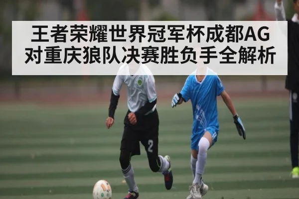 王者荣耀世界冠军杯成都AG对重庆狼队决赛胜负手全解析