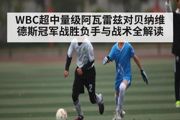 WBC超中量级阿瓦雷兹对贝纳维德斯冠军战胜负手与战术全解读