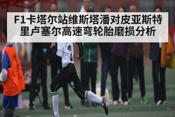F1卡塔尔站维斯塔潘对皮亚斯特里卢塞尔高速弯轮胎磨损分析